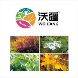 如何選定一個靠譜北京營銷策劃公司｜以福來品牌實戰經驗為例，升級你的全案戰略